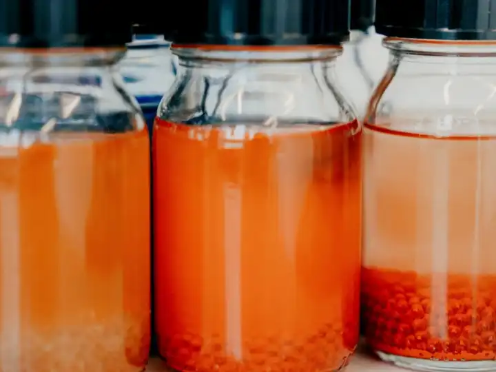 How Hempel created a paint empire powering ships, skyscrapers and Farrow & Ball